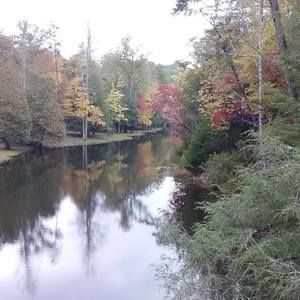 Meet your Posher, Dewi